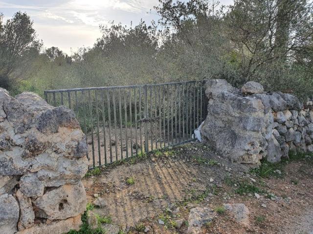 Terreno en venta en Marratxí, sa Cabaneta