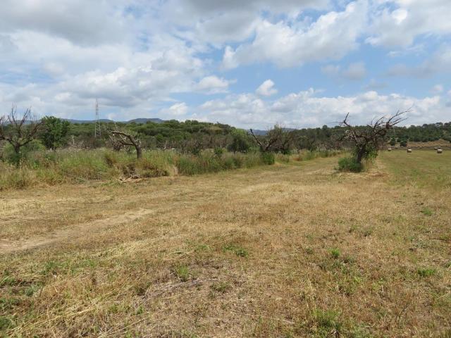 Terreno en venta en Marratxí, Marratxinet