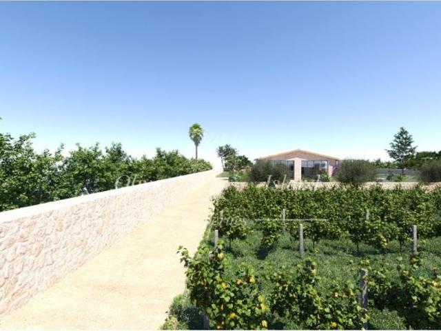 Terreno en venta en sa Cabaneta, Raiguer