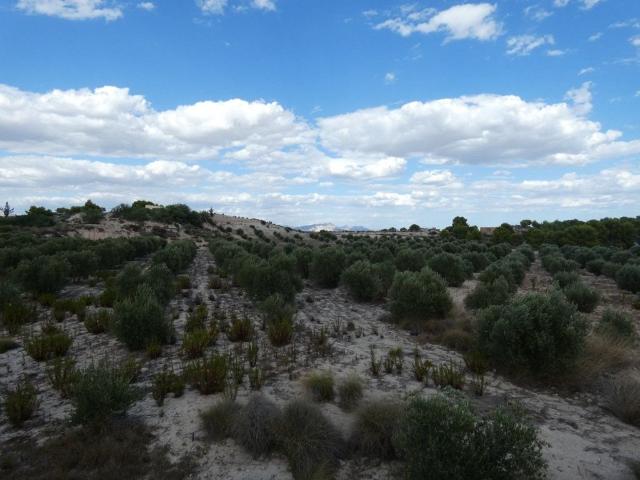 Terreno en venta en Los Valientes, Vega Media del Segura