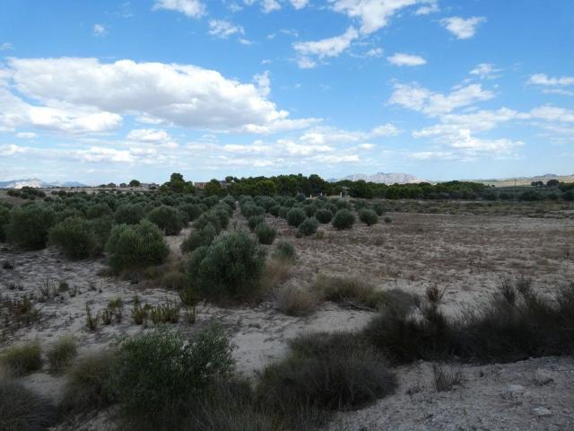 Terreno en venta en Molina De Segura, Los Valientes