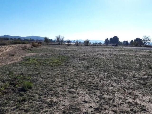 Terreno en venta en Monforte Del Cid, Orito