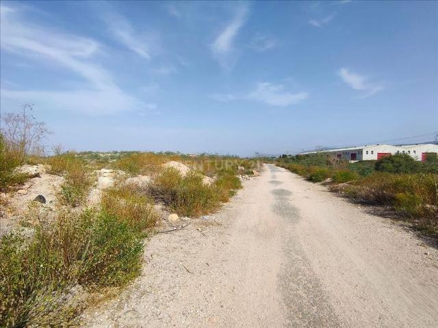 Terreno en venta en El Palmar o Lugar de Don Juan, Área Metropolitana de Murcia