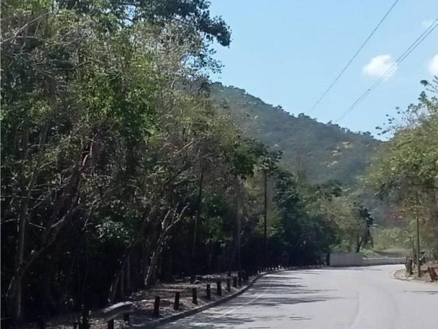 Terreno en venta en Boca De Uchire, Distrito Capital