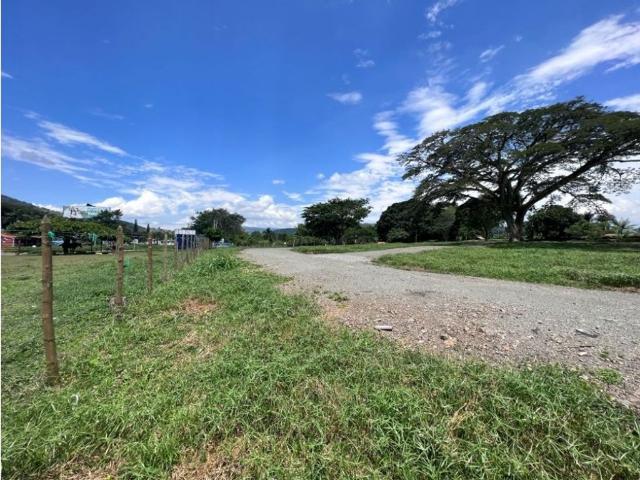 Terreno / Solar Palestina, Departamento de Caldas