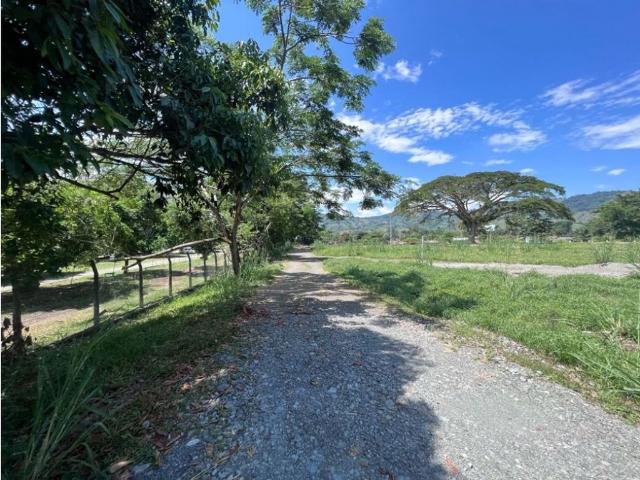 Terreno / Solar Palestina, Departamento de Caldas