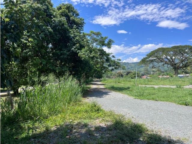 Terreno / Solar Palestina, Departamento de Caldas