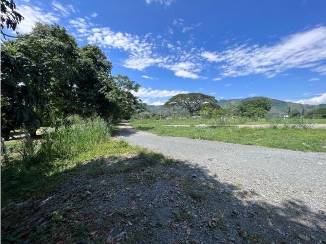 Terreno / Solar Palestina, Departamento de Caldas