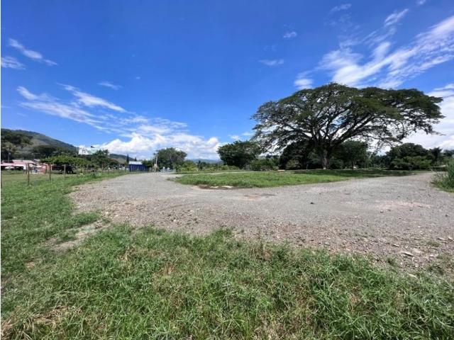 Terreno / Solar Palestina, Departamento de Caldas