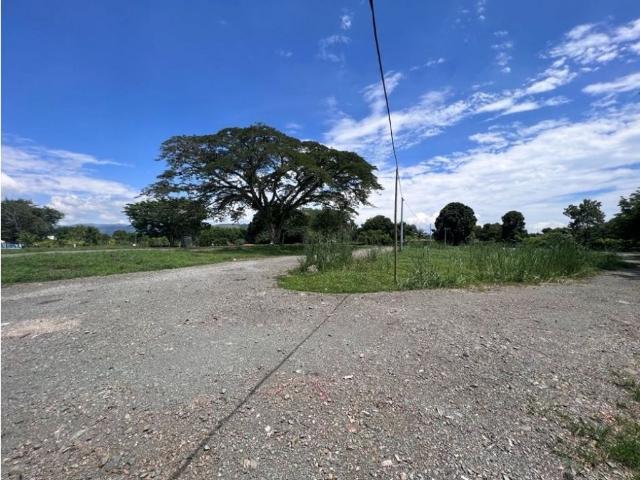 Terreno / Solar Palestina, Departamento de Caldas