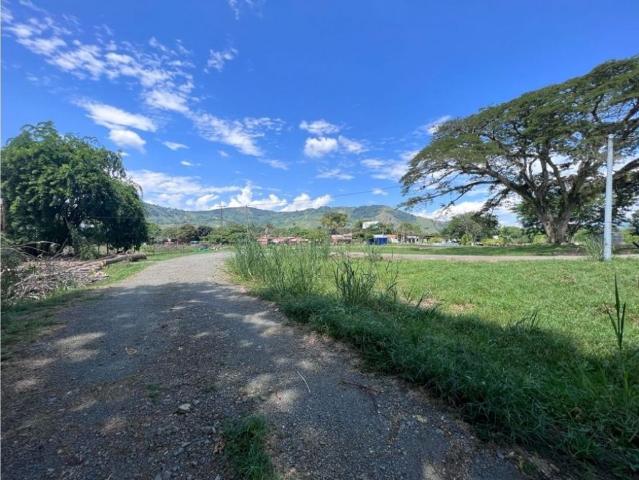 Terreno / Solar Palestina, Departamento de Caldas