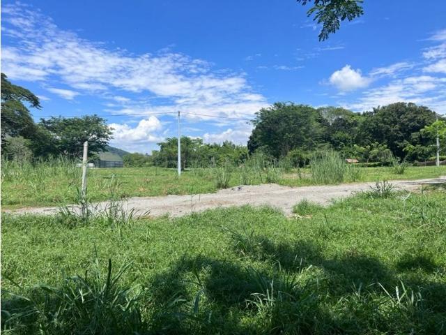 Terreno / Solar Palestina, Departamento de Caldas