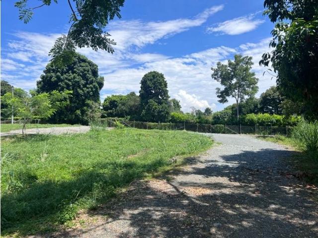 Terreno / Solar Palestina, Departamento de Caldas