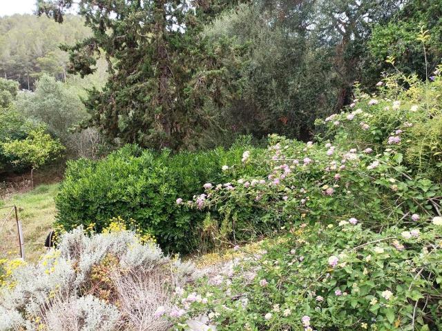 Terreno en venta en Son Xigala, Palma