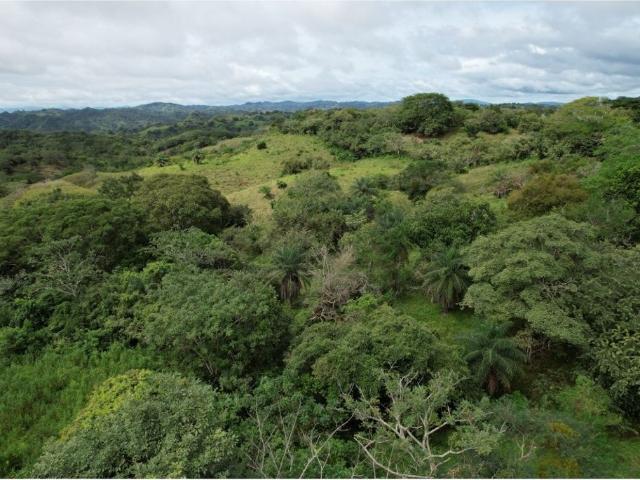 Terreno venta en Pedasí, Los Santos
