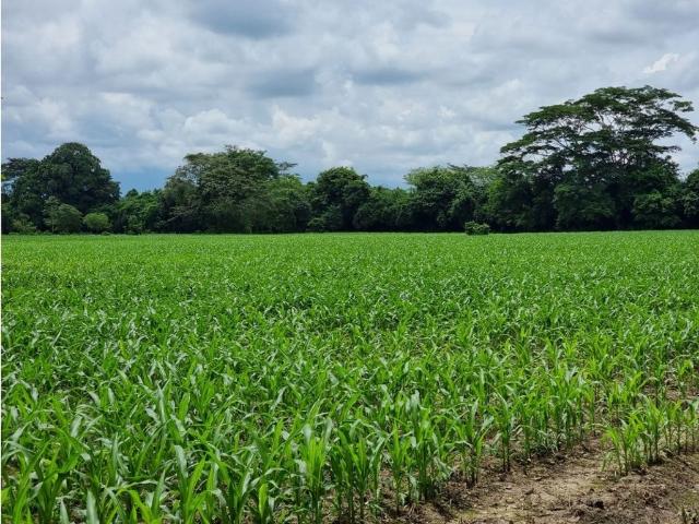 Lote en venta en Río de Oro, Río De Oro