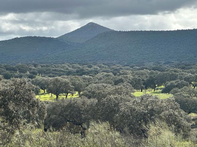Terreno en venta en Salorino