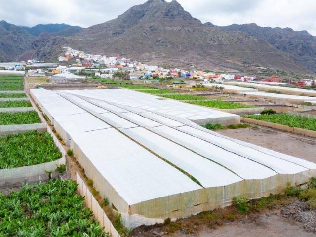 Terreno en venta en San Cristóbal de La Laguna, Canarias