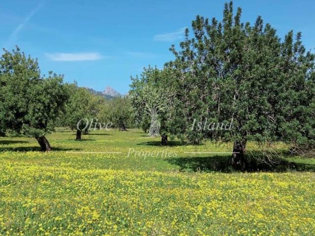 Terreno en venta en Hostals, Santa María Del Cami