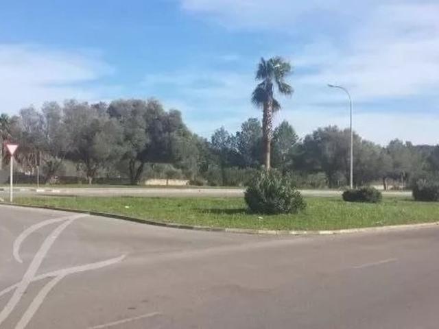 Terreno en venta en Calvià, Serra de Tramuntana