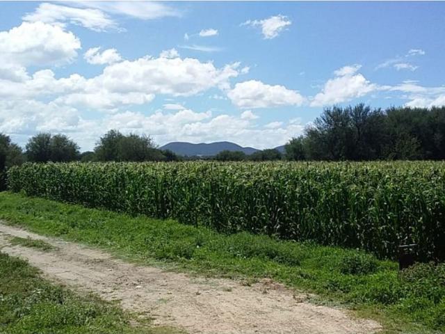 Terreno en venta en Santiago De Anaya, Hidalgo