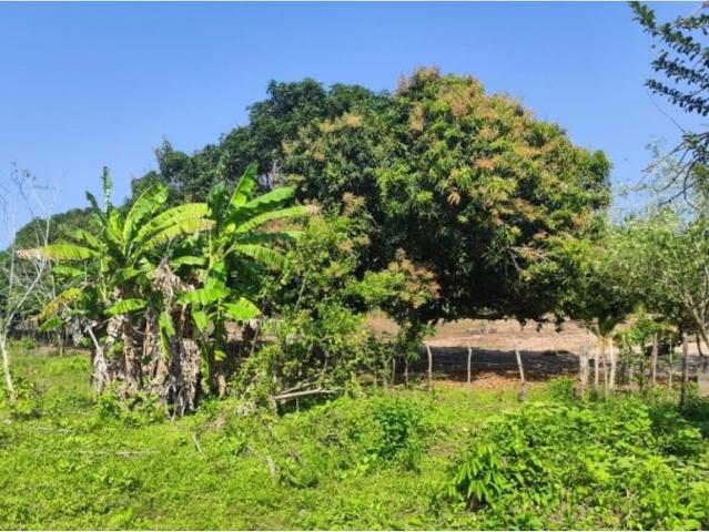 Lote en venta en Santo Tomás, Atlántico
