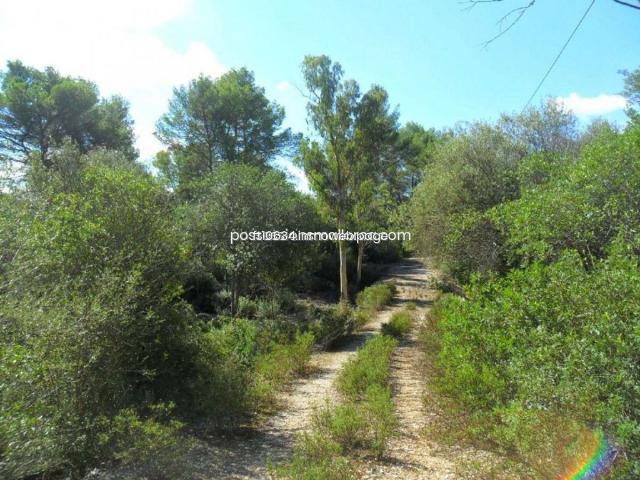 Terreno en venta en Biniali, Pla de Mallorca