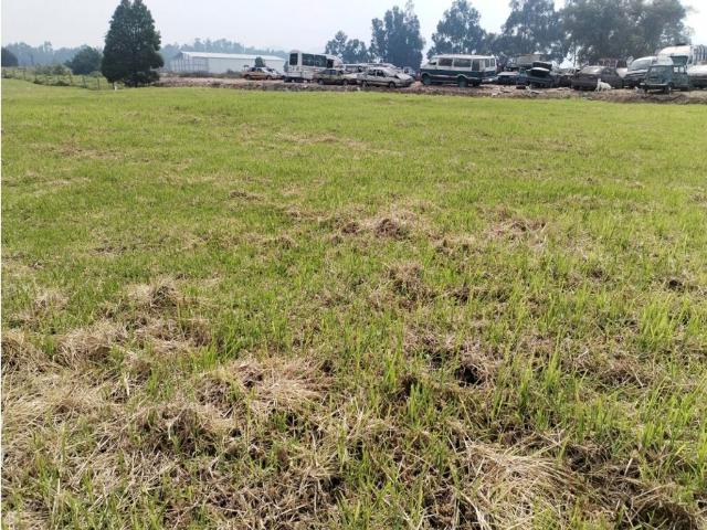 Lote en arriendo en Cundinamarca