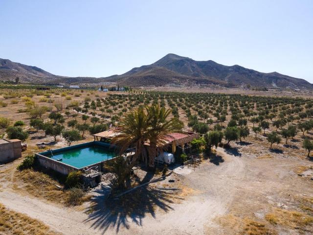 Terreno en venta en Tabernas, Andalucía
