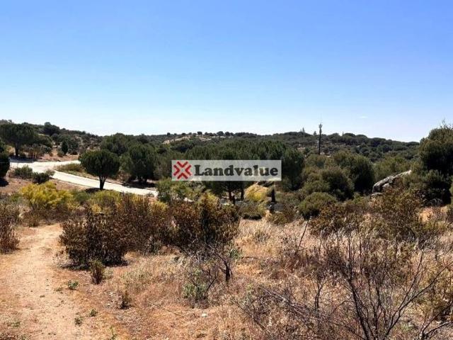 Terreno en venta en Torrelodones Colonia, Torrelodones
