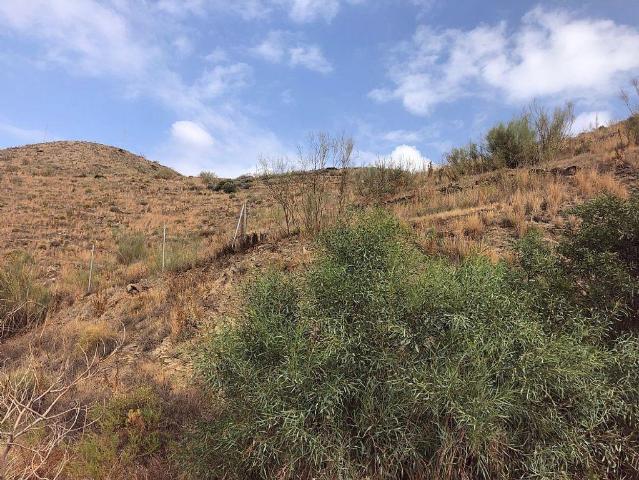 Terreno en venta en Torrox, El Peñoncillo