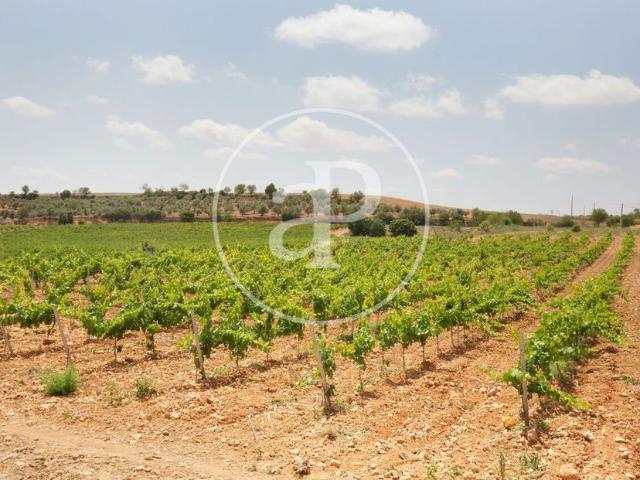 Terreno en venta en Utiel, El Arrabal Terreno en venta en Utiel, El Arrabal