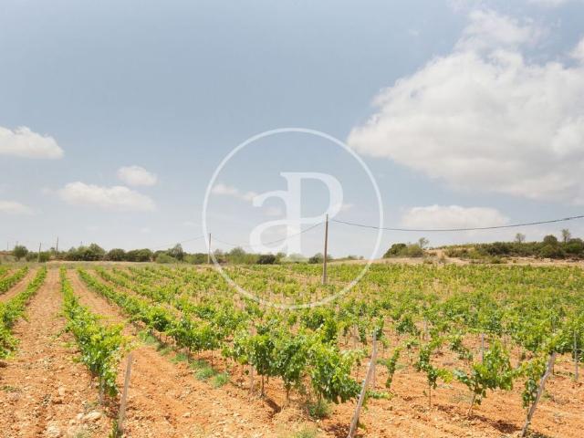 Terreno en venta en El Arrabal, La Plana de Utiel-Requena