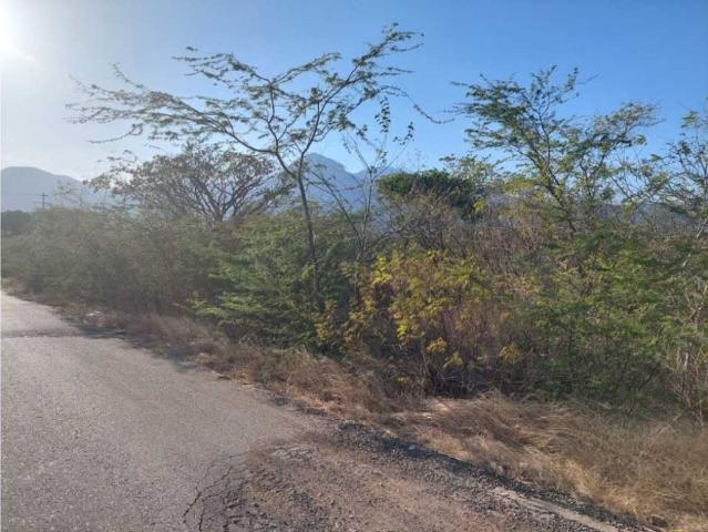 Terreno / Solar Valledupar, Colombia