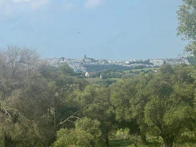 Terreno en venta en Cantarranas, La Janda