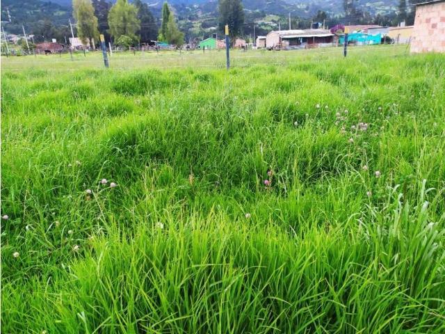 Terreno / Solar Villa de San Diego de Ubaté, Cundinamarca