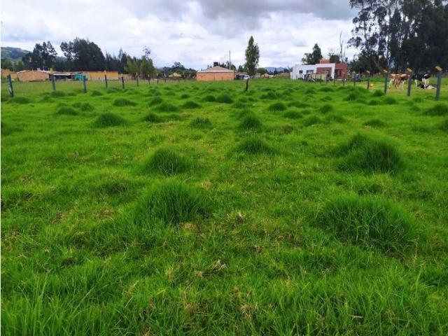 Terreno / Solar Villa de San Diego de Ubaté, Cundinamarca
