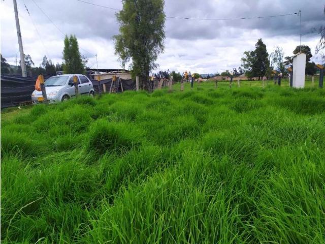 Terreno / Solar Villa de San Diego de Ubaté, Cundinamarca