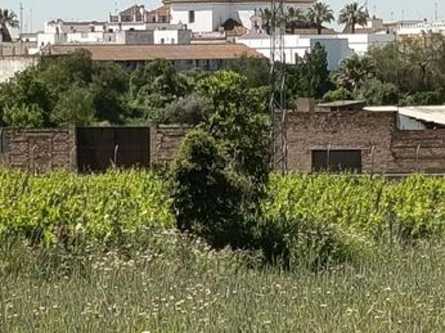 Terreno en venta en Villamanrique De La Condesa, Andalucía
