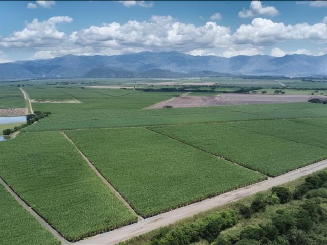 Lote en venta en Zarzal, Valle Del Cauca