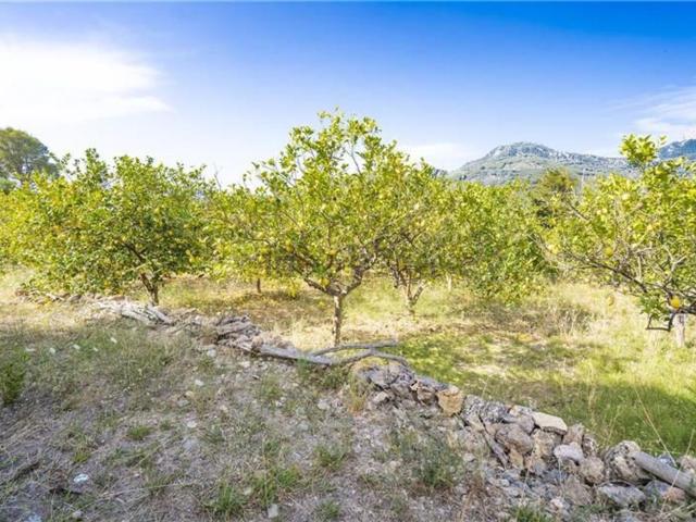 Terreno en venta en l'Horta, Serra de Tramuntana