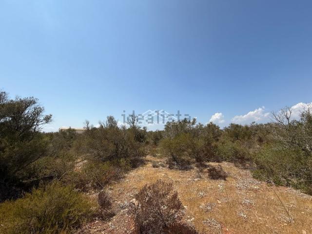 Terreno en venta en Son Gual II, Palma