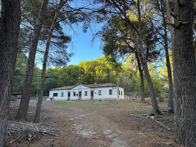 Terreno en venta en Son Roca, Palma