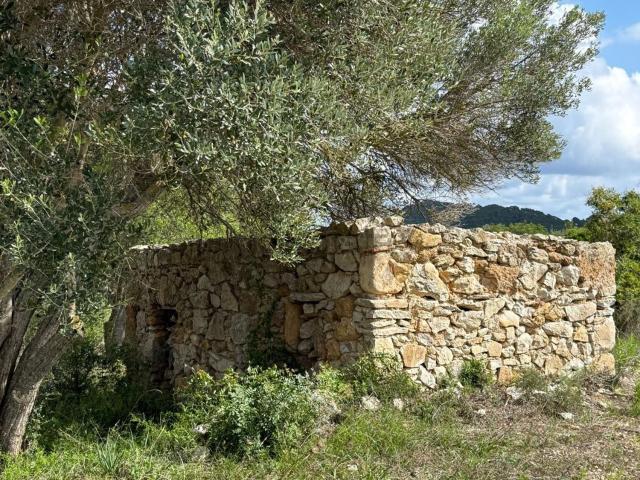 Terreno en venta en Llevant, Baleares