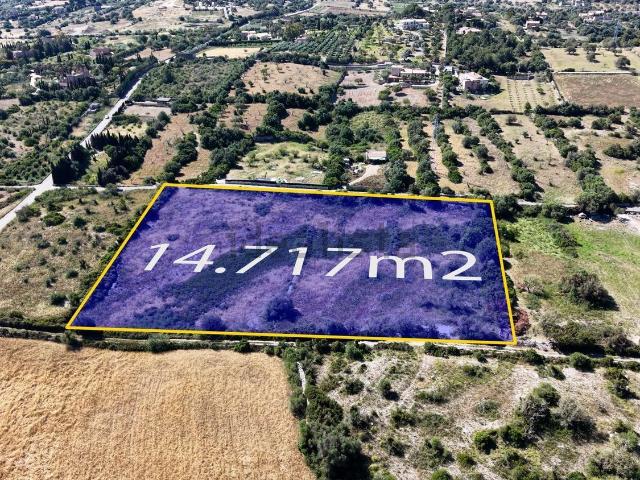 Terreno en venta en Cala Millor, Llevant