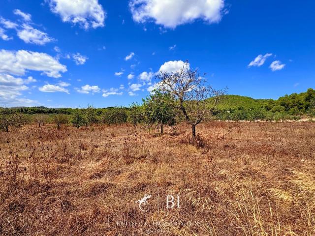 Terreno en venta en Llevant, Baleares