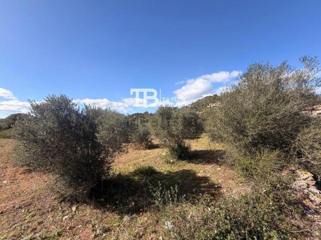 Terreno en venta en Llevant, Baleares