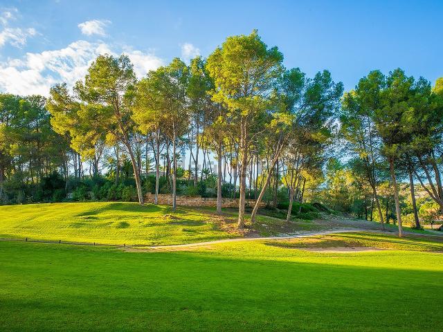 Terreno en venta en Son Vida, Palma