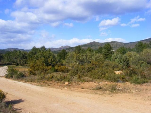Terreno en venta en l'Alt Palància, Valencia
