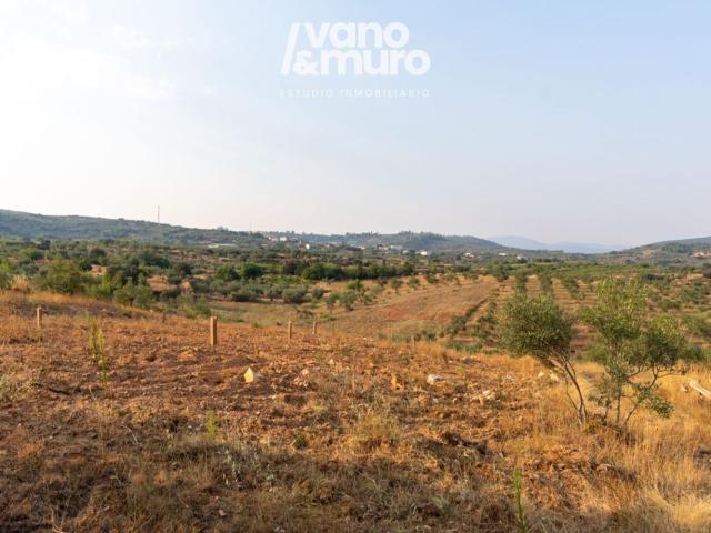 Terreno en venta en Sotoserrano, Salamanca